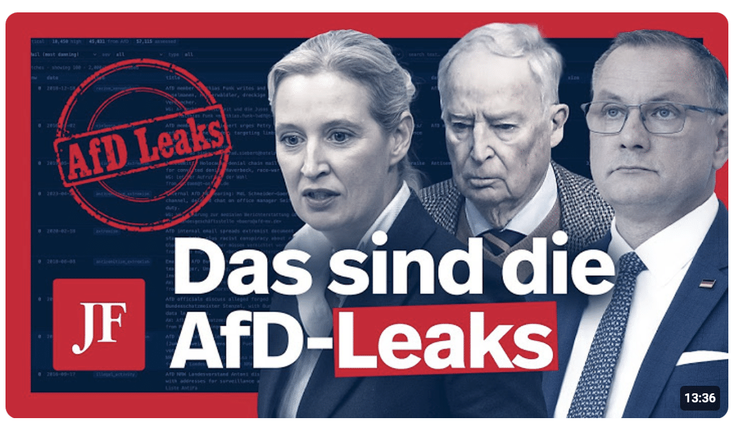 Gigantischer Datenskandal bei der AfD: Wer jetzt alles betroffen ist
