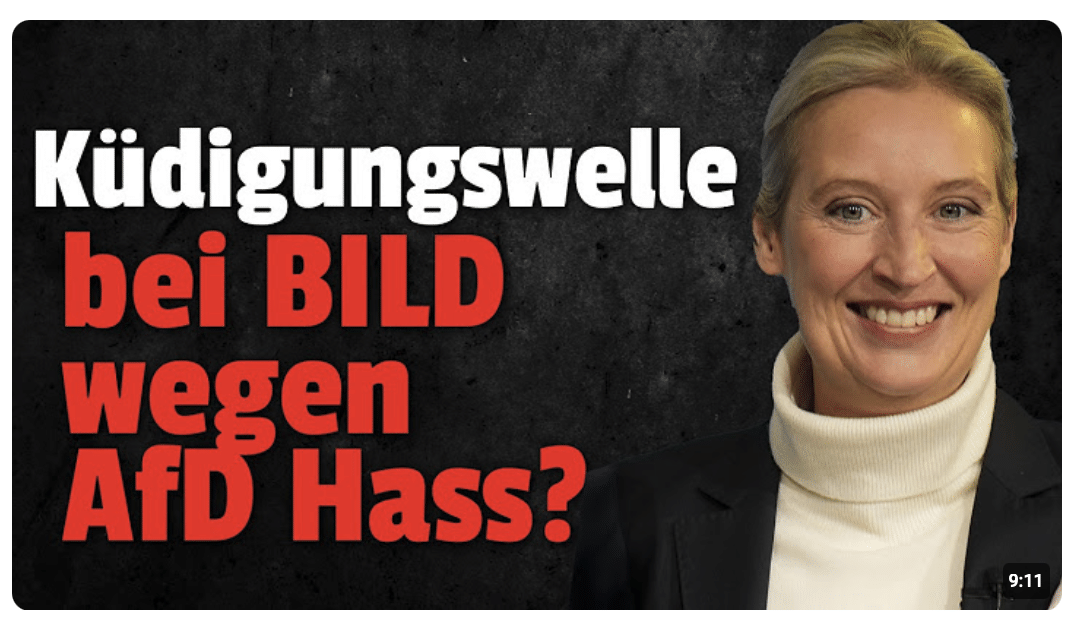 AfD Fans schlagen gegen BILD zurück: Chefin bettelt um ENTSCHULDIGUNG!