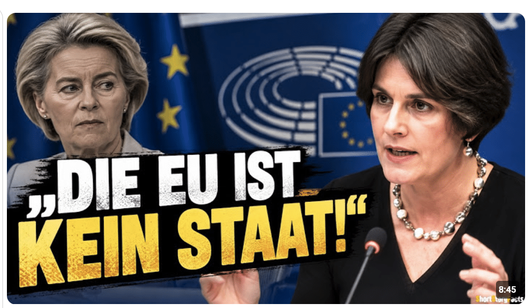 Diese Anwältin stellt die EU-Pläne zur digitalen ID komplett infrage?!