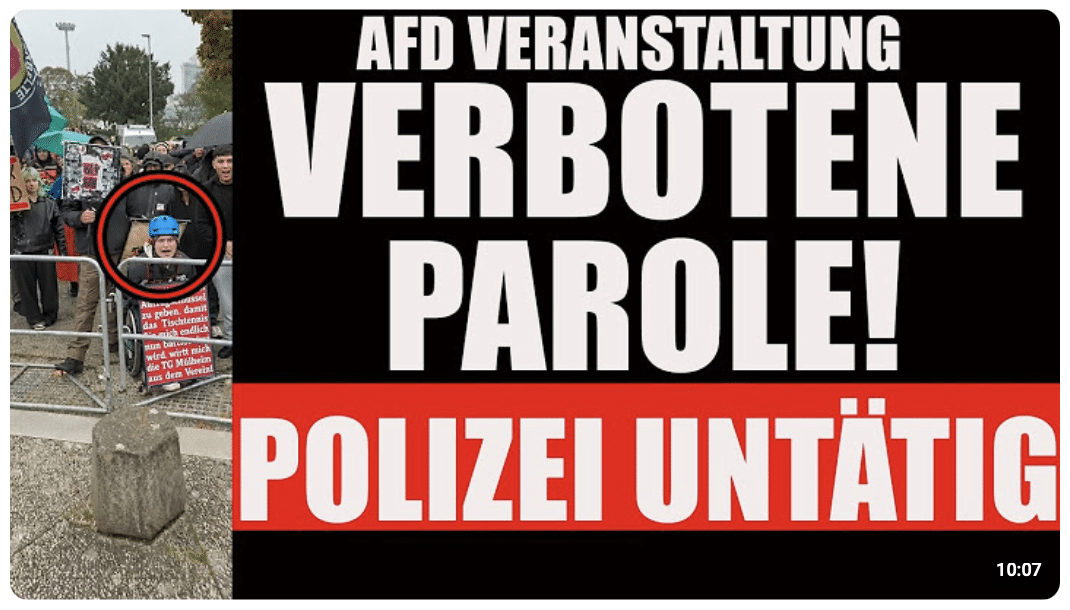 Das ging zu weit! YouTuber bei AfD-Gegenprotest heftig attackiert