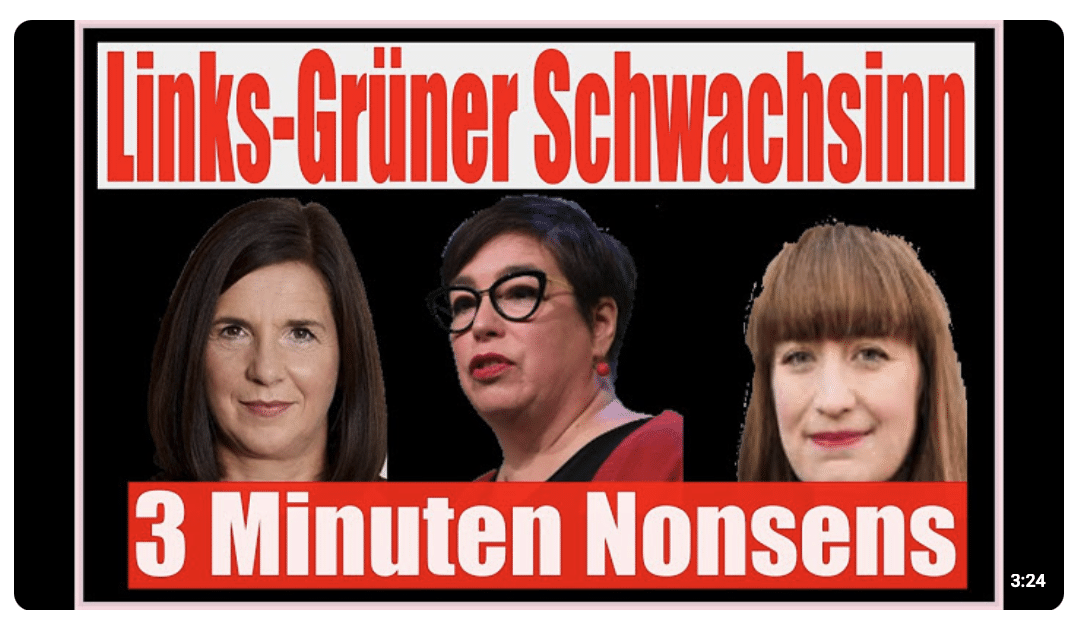 Links-Grüner Nonsens in 3 Minuten erklärt !